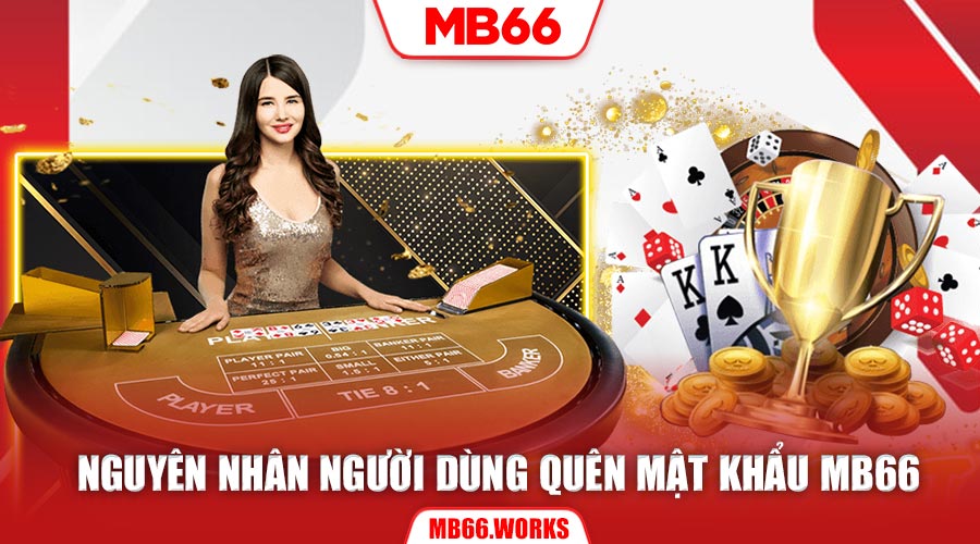 Quên Mật Khẩu MB66 - Lý Do Và Cách Khắc Phục 1 Bạn quên mật khẩu MB66 trong những tình huống nào?