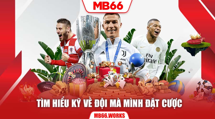 Mẹo tìm hiểu thông tin đội thi đấu trước khi cược